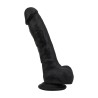 Black Dildo with Balls Suction Cup